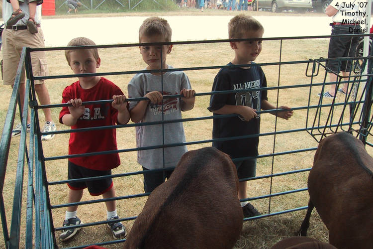 The boys pet some goats