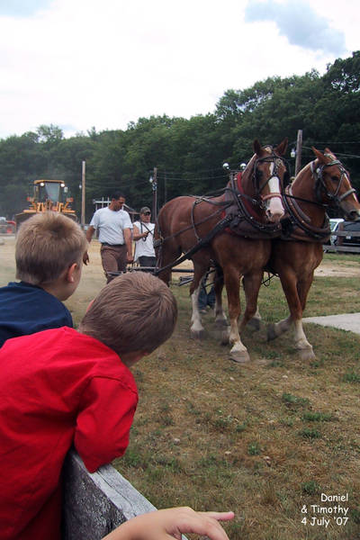 Daniel and Timothy watch the horse pull