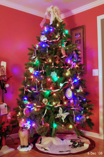 The Christmas tree and its lights