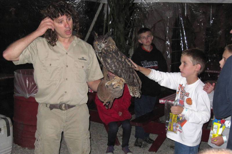 Timothy pets an owl