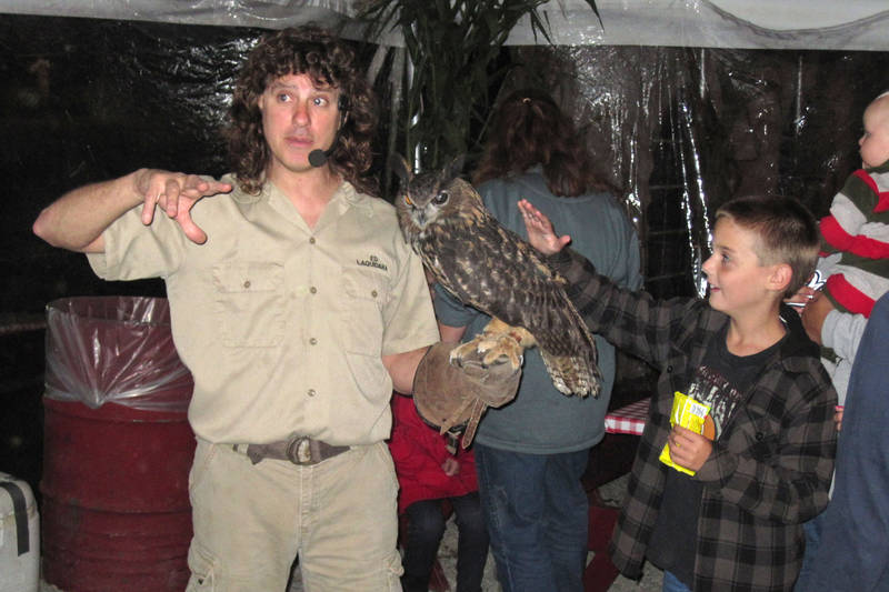 Daniel pets an owl
