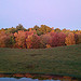 Thumbnail of New England Autumn